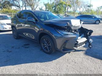 LEXUS NX 250