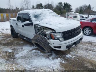 FORD F-150 SVT RAPTOR