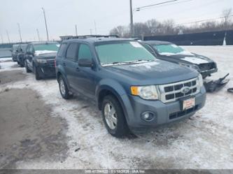 FORD ESCAPE XLT