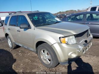 FORD ESCAPE XLT