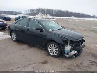 TOYOTA CAMRY XLE V6