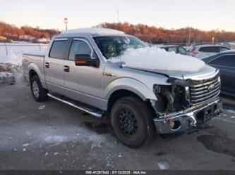 FORD F-150 FX4/HARLEY-DAVIDSON/KING RANCH/LARIAT/PLATINUM/XL/XLT