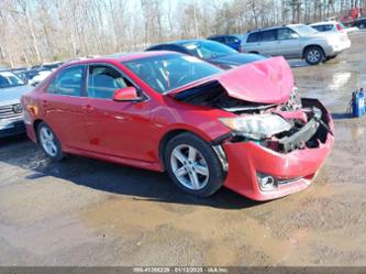 TOYOTA CAMRY SE