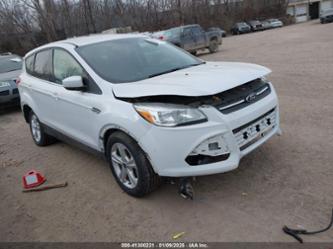 FORD ESCAPE SE