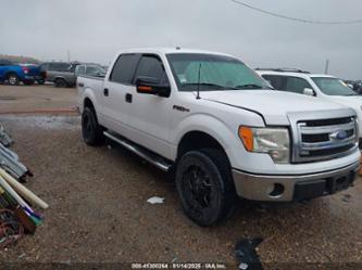 FORD F-150 XLT