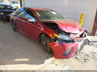 TOYOTA CAMRY HYBRID SE