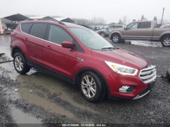 FORD ESCAPE SEL