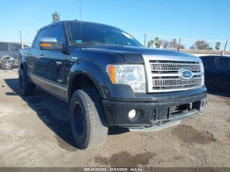 FORD F-150 PLATINUM