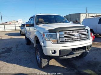 FORD F-150 PLATINUM