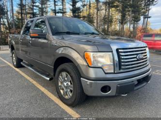 FORD F-150 XLT