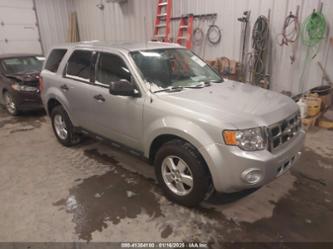 FORD ESCAPE XLS