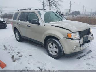 FORD ESCAPE XLT