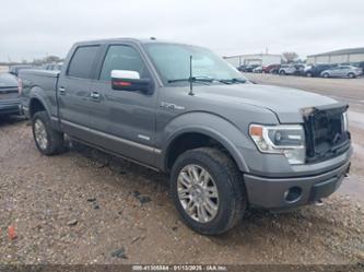 FORD F-150 PLATINUM