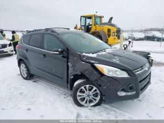 FORD ESCAPE SEL