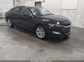 CHEVROLET MALIBU FWD LT