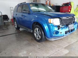 FORD ESCAPE XLT