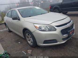 CHEVROLET MALIBU 1FL