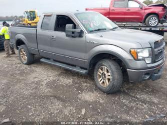 FORD F-150 FX4