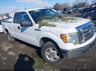 FORD F-150 FX4/LARIAT/XL/XLT