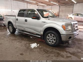 FORD F-150 XLT