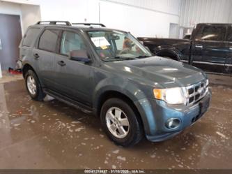 FORD ESCAPE XLT