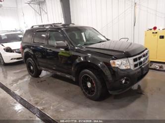 FORD ESCAPE XLT