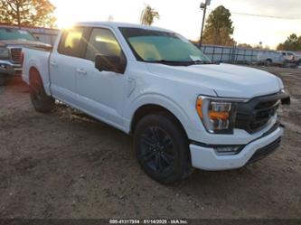 FORD F-150 XLT