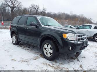 FORD ESCAPE XLT