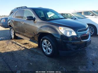 CHEVROLET EQUINOX 1LT