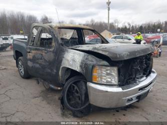 CHEVROLET SILVERADO 1500 WORK TRUCK