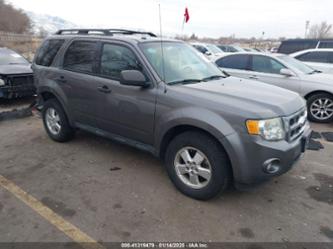 FORD ESCAPE XLT