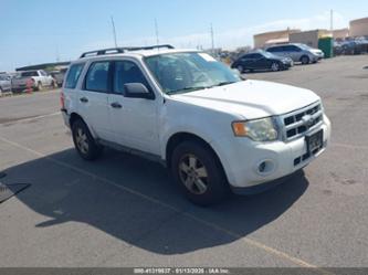 FORD ESCAPE XLS