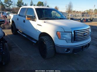 FORD F-150 XLT