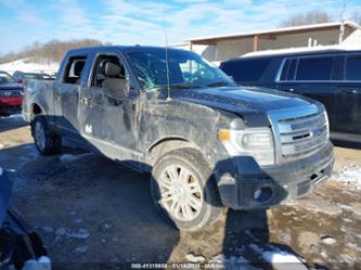 FORD F-150 PLATINUM