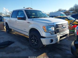 FORD F-150 PLATINUM