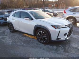 LEXUS UX 250H