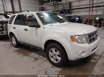 FORD ESCAPE XLT