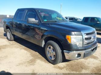 FORD F-150 XLT