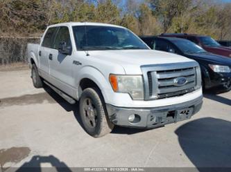 FORD F-150 XLT