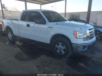 FORD F-150 XLT