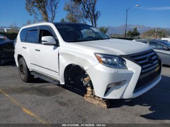 LEXUS GX 460