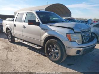 FORD F-150 XLT