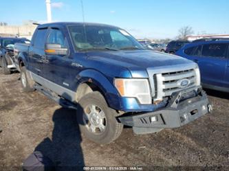 FORD F-150 XLT