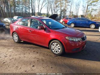 KIA FORTE EX