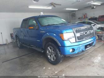 FORD F-150 FX4