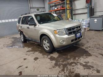 FORD ESCAPE XLT