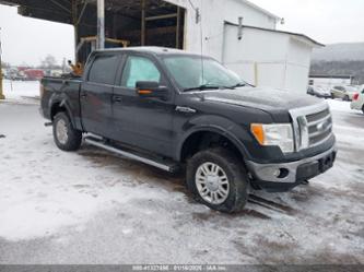 FORD F-150 LARIAT