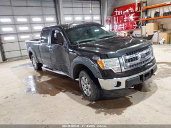 FORD F-150 XLT