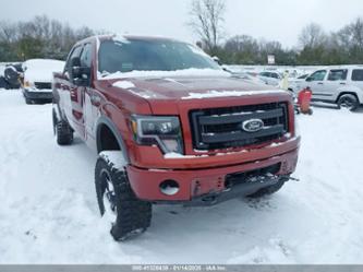 FORD F-150 FX4