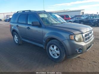 FORD ESCAPE XLS